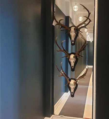 Spejl i Jyderup Spejl i Jyderup